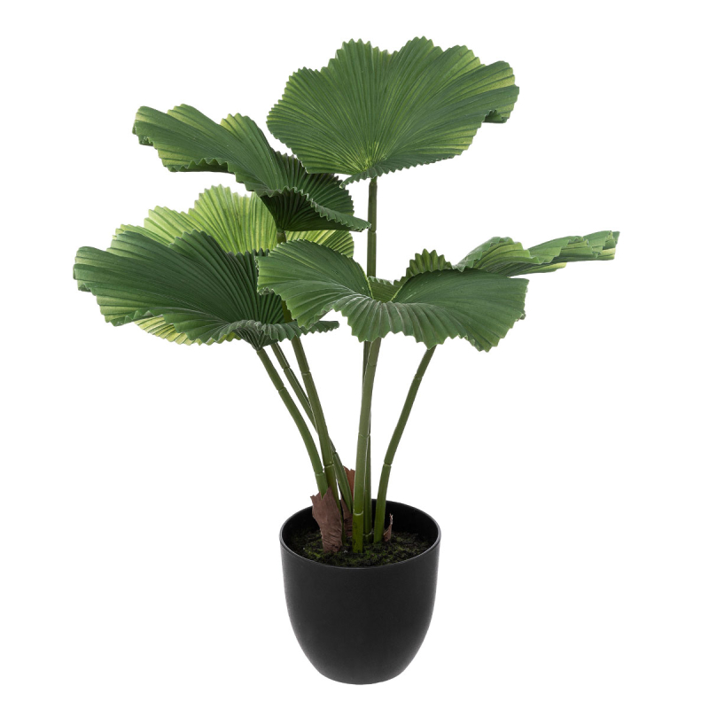 Τεχνητό Φυτό Σε Γλάστρα (Φ62x65) A-S Palm Tree 189127