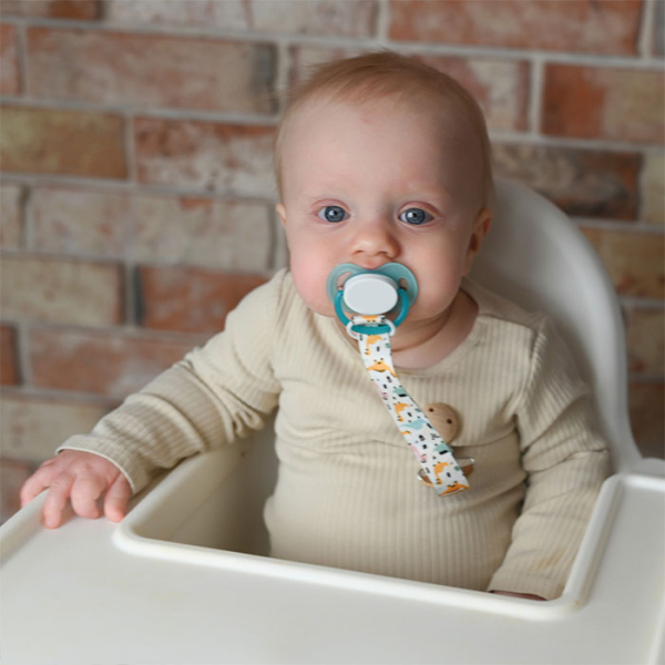 Κλιπ Πιπίλας Akuku Δεινοσαυράκια A0580