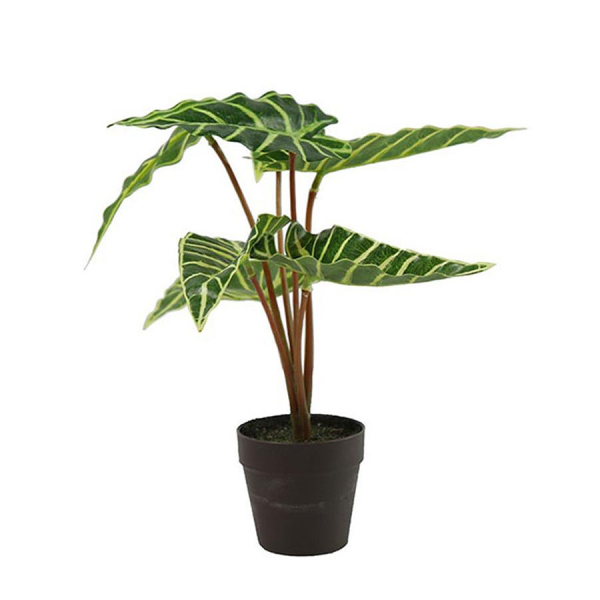 Τεχνητό Φυτό Σε Γλάστρα 24εκ. Decostar 763123