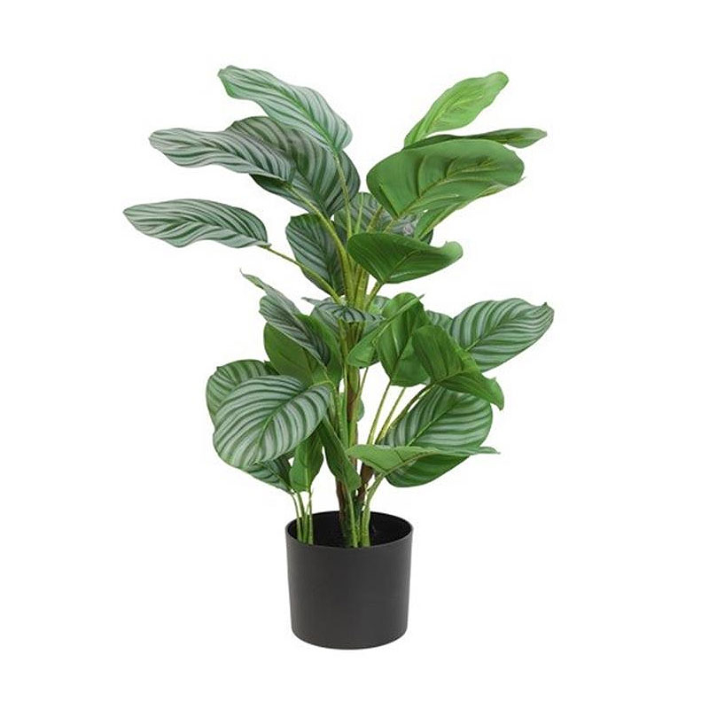 Τεχνητό Φυτό Σε Γλάστρα 70εκ. Decostar 807773