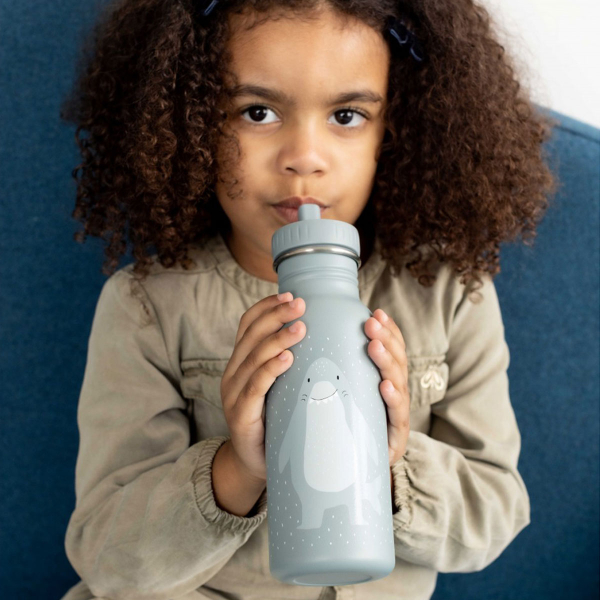 Παγούρι 500ml Με Στόμιο Trixie Mr.Shark