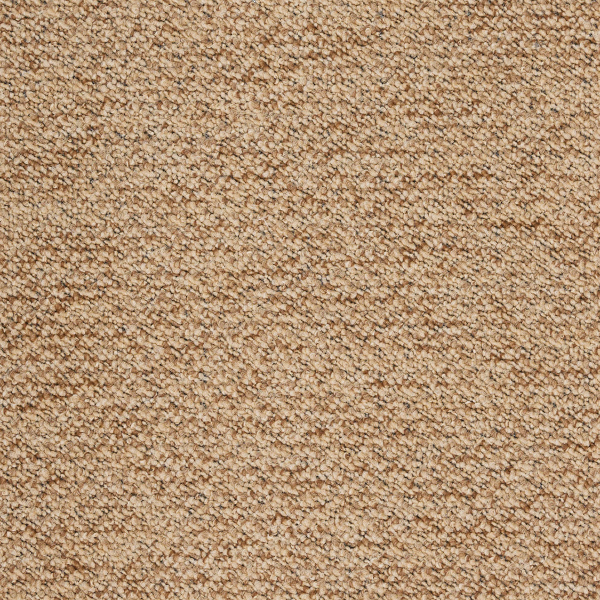 Μοκέτα (200x250) Βιοκαρπέτ Newton 63 M Beige