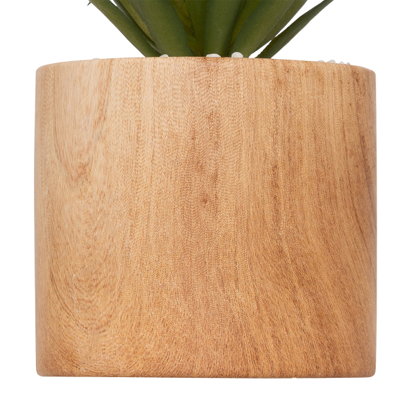 Τεχνητό Φυτό Σε Γλάστρα (Φ9.2x17) A-S Sao 179229A