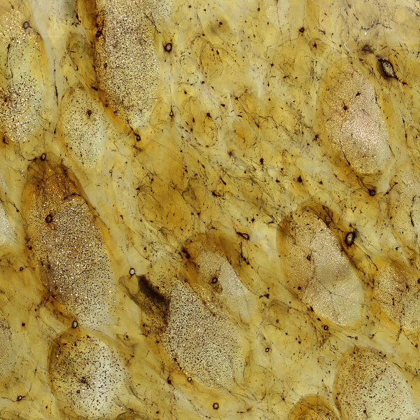 Διακοσμητικό Βάζο (Φ19x21) Kersten XET-6321