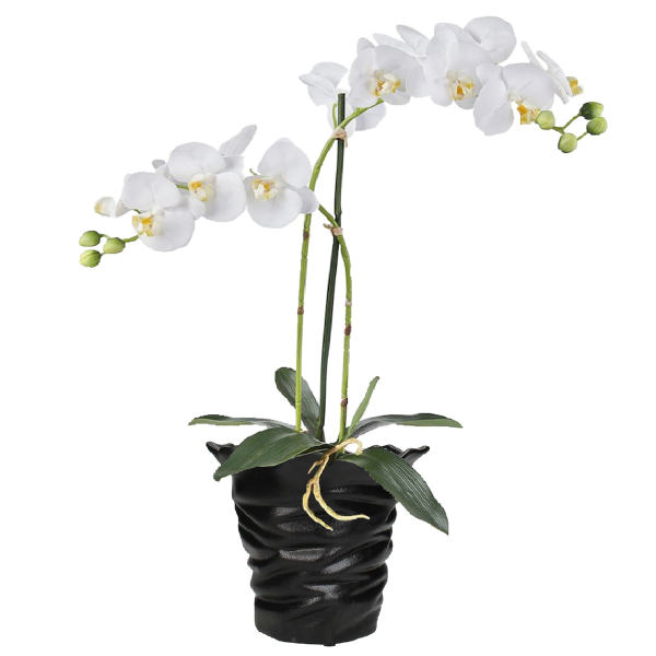 Κασπώ (19x18x20) Kersten XET-8457