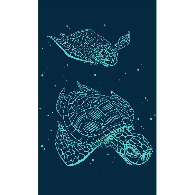 Πετσέτα Θαλάσσης (87x165) Dimcol 234