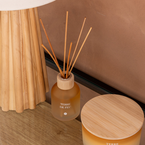 Αρωματικό Χώρου 150ml Με Στικς A-S Sana Terre De Feu 204707B