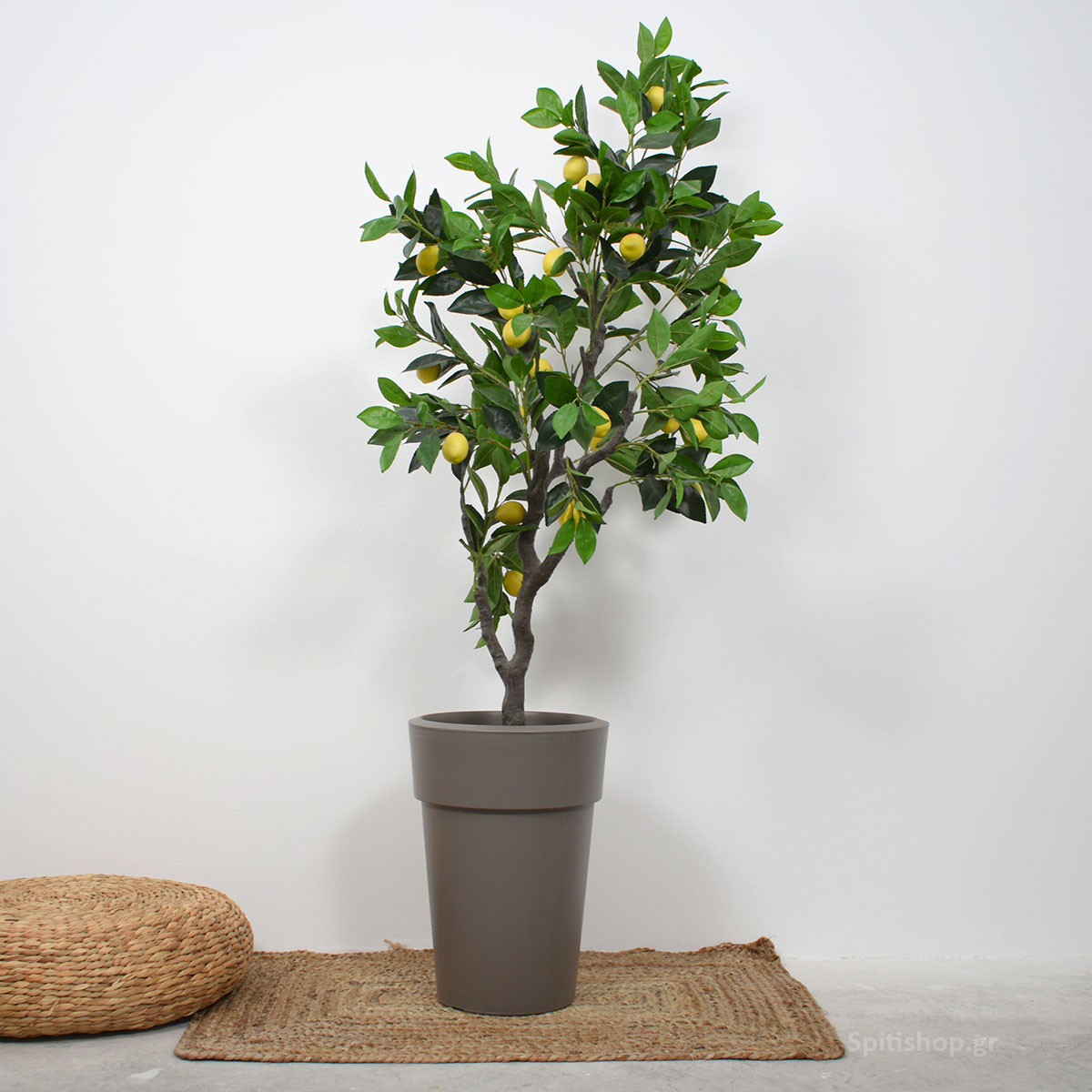 Γλάστρα 18Lt (Φ30x41) Viomes Linea 882 φωτογραφία