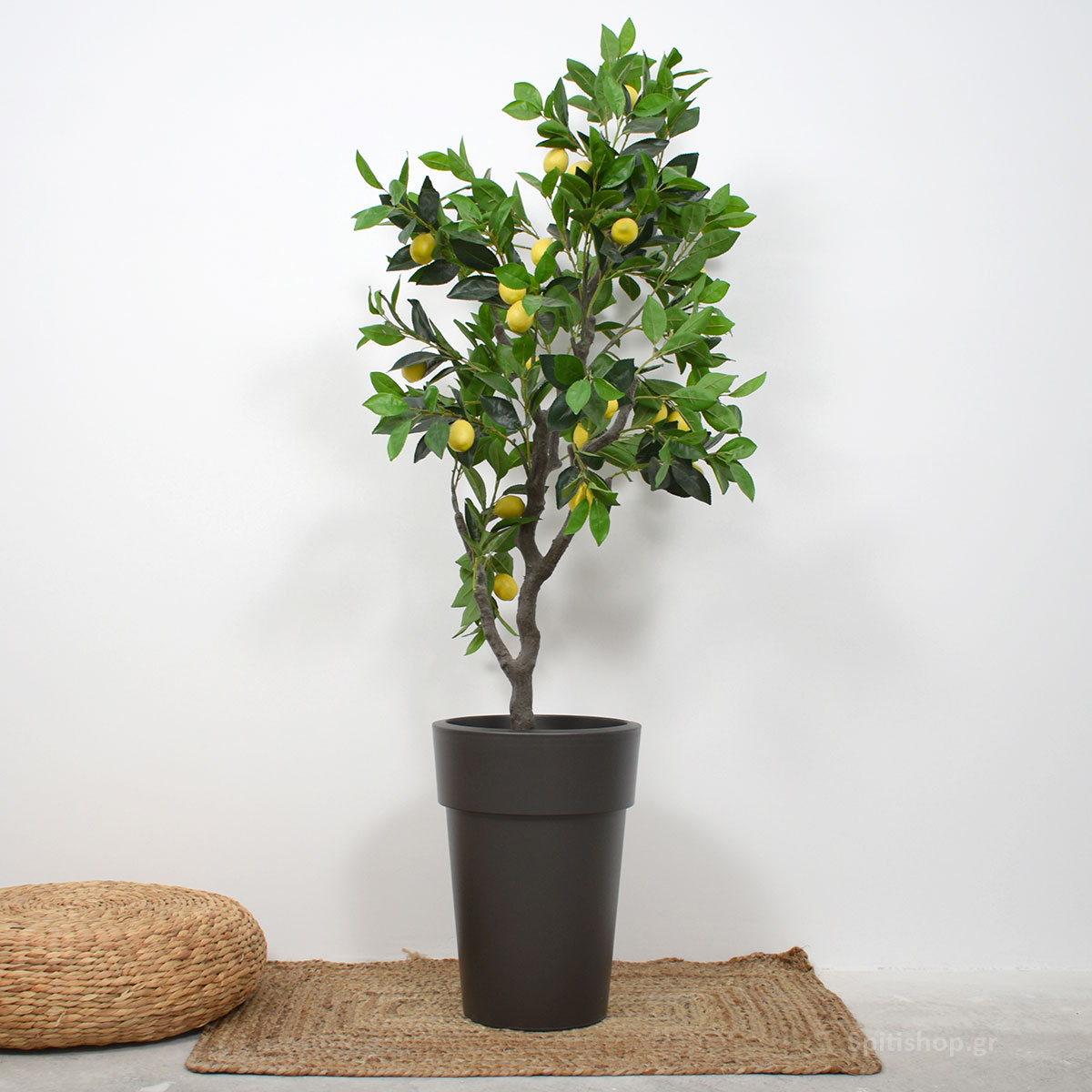 Γλάστρα 18Lt (Φ30x41) Viomes Linea 882 φωτογραφία