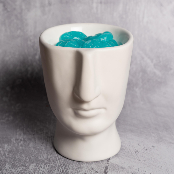 Αρωματιστής Scentchips 850139 Visage White