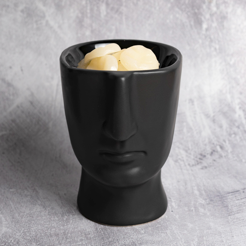 Αρωματιστής Scentchips 850141 Visage Black