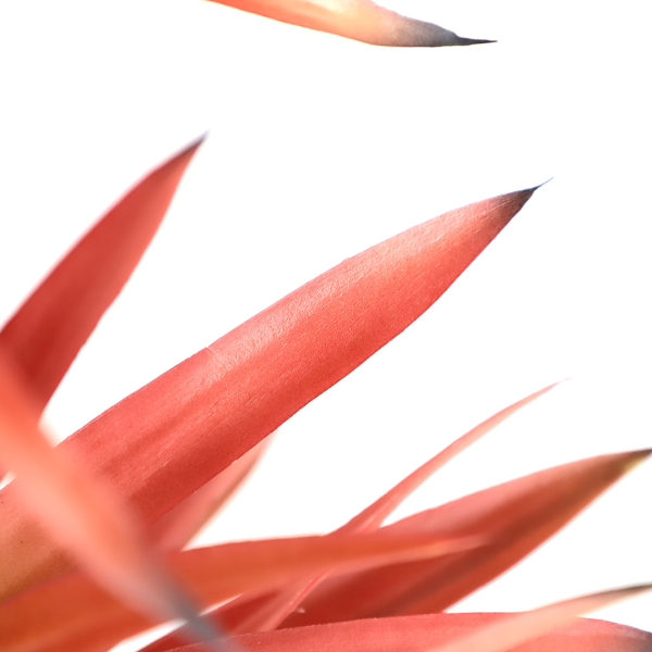 Τεχνητό Δέντρο 140εκ. New Plan Sisal NP811