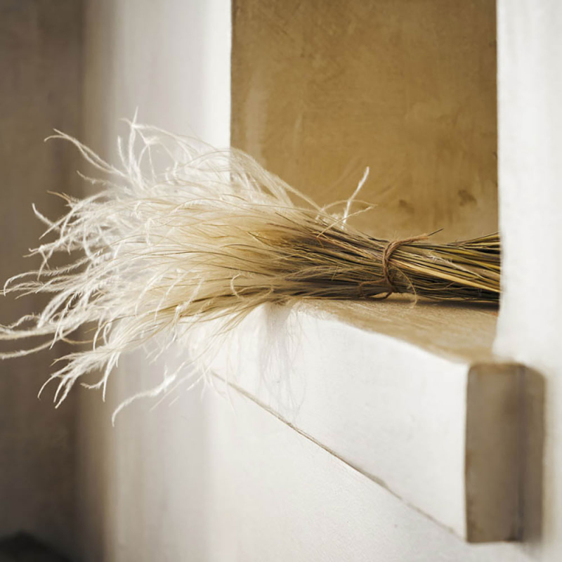 Αποξηραμένα Διακοσμητικά Κλαδιά 45εκ. Gofis Home Stipa Pennata 112