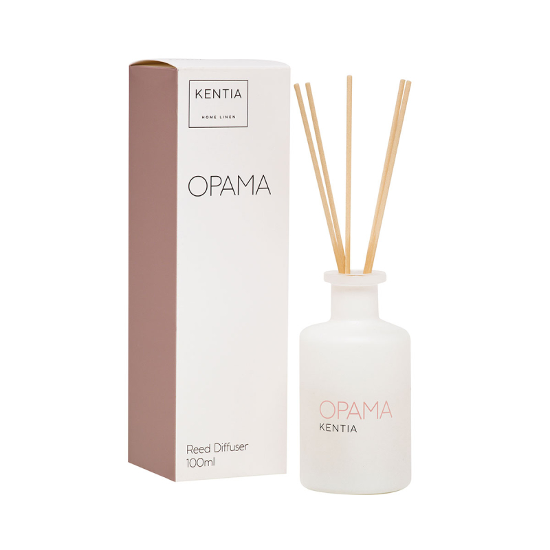 Αρωματικό Χώρου 100ml Με Στικς Kentia Mood Όραμα