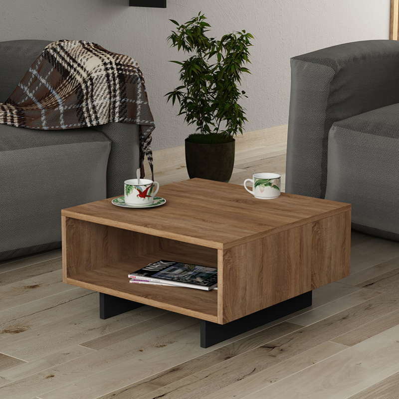 Τραπέζι Σαλονιού Με Ράφι (60x60x32) A-G Hola 855DTE2808 Oak Anthracite