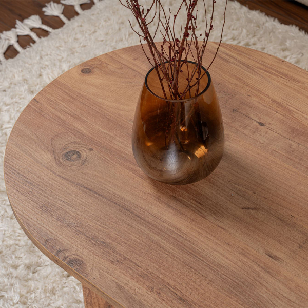 Τραπέζι Σαλονιού (119x60x40) A-G Sable 909NRD1102 Atlantic Pine