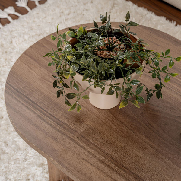 Τραπέζι Σαλονιού (119x60x40) A-G Sable 909NRD1109 Walnut