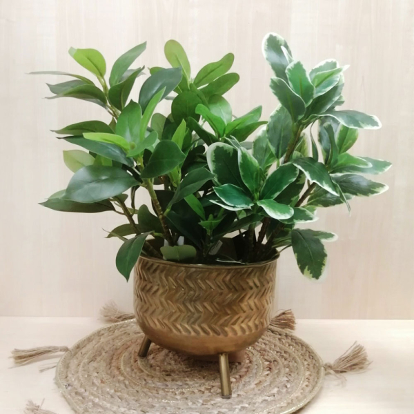 Κασπώ (Φ19x16.5) Mod 74024