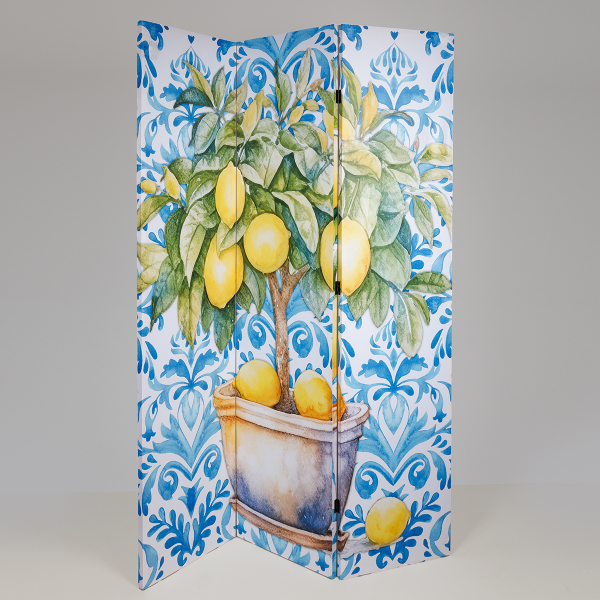 Παραβάν (120x2.5x180) 2 Όψεων Estheti 810-00090