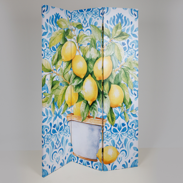 Παραβάν (120x2.5x180) 2 Όψεων Estheti 810-00090