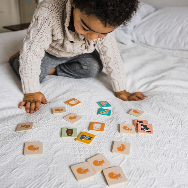 Ξύλινο Παιχνίδι Μνήμης Orange Tree Toys Woodland  60-25255