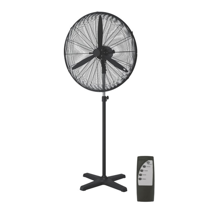 Ανεμιστήρας Δαπέδου Με Ορθοστάτη & Τηλεχειριστήριο 160W Aca Black FANSPFLB30R