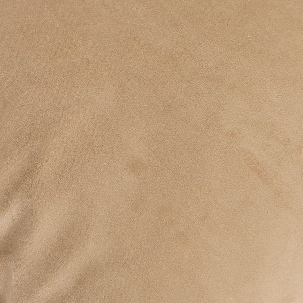 Διακοσμητικό Μαξιλάρι Βελουτέ 2 Όψεων (40x40) A-S Lynra Tiger 212527