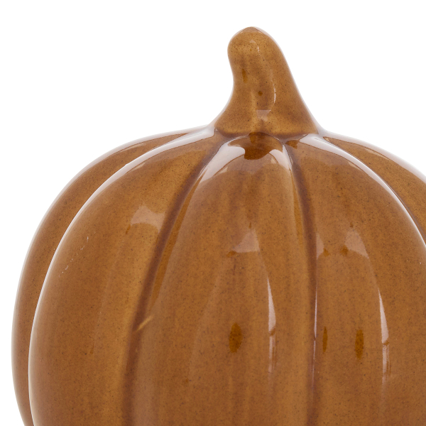 Διακοσμητική Κολοκύθα (Φ10.5x10) A-S Autumn 211736