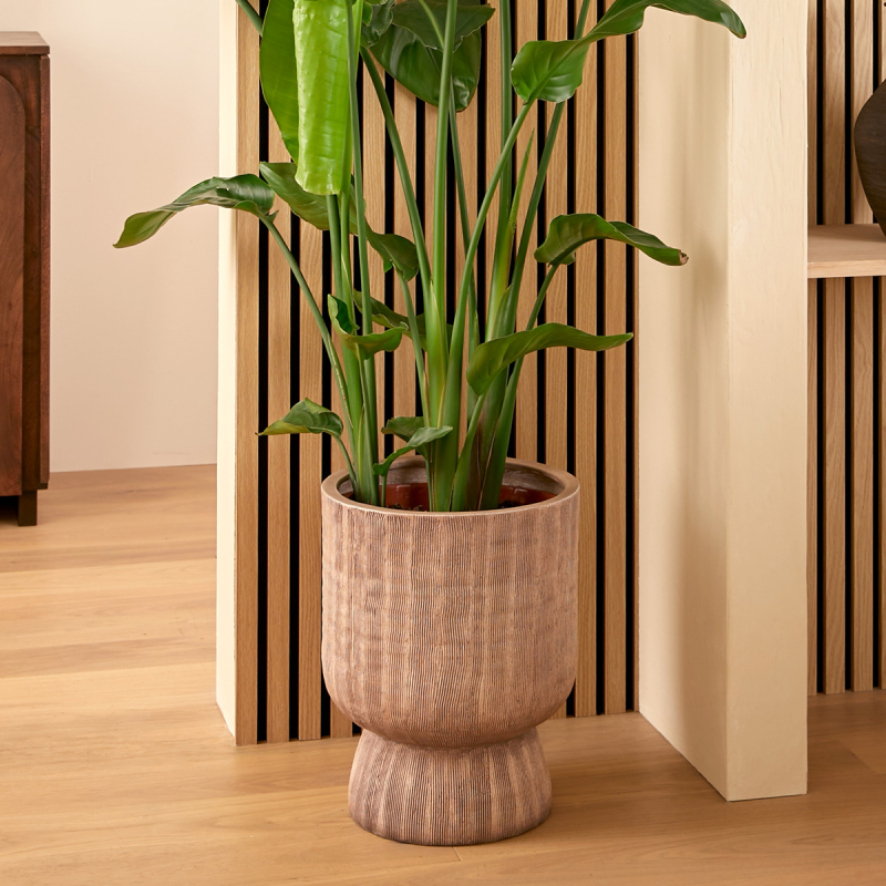 Κασπώ (Φ30x38) A-S Romia 210158