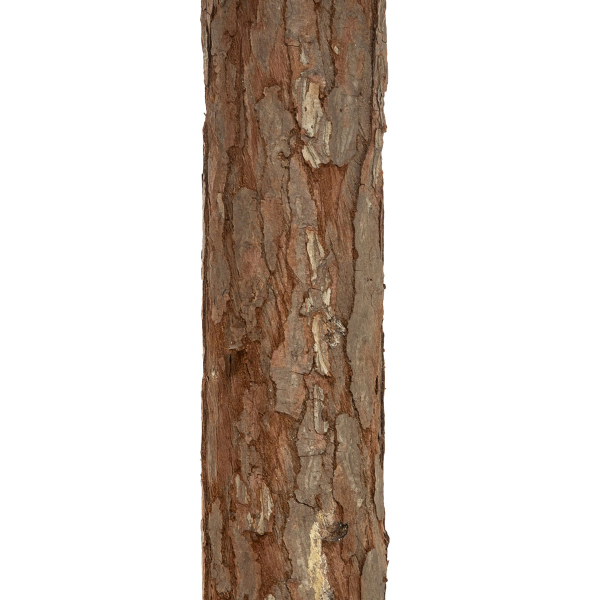 Χριστουγεννιάτικο Δέντρο Κλασικό Λευκό 180εκ./366 Κλαδιά Με Βάση Κορμό F-R Nordstar 198306