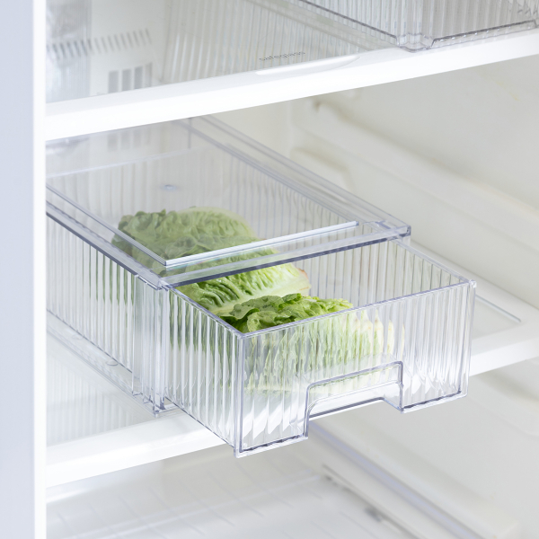 Ράφι Ψυγείου Με Καπάκι (32x21.2x10.5) F-V Streaks 190179