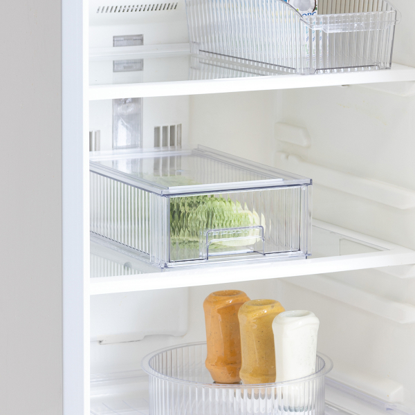 Ράφι Ψυγείου Με Καπάκι (32x21.2x10.5) F-V Streaks 190179