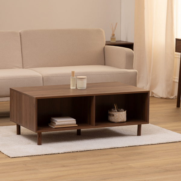 Τραπέζι Σαλονιού Με 2 Ντουλάπια + 2 Ράφια (108x60x42) F-V Slidy 193609