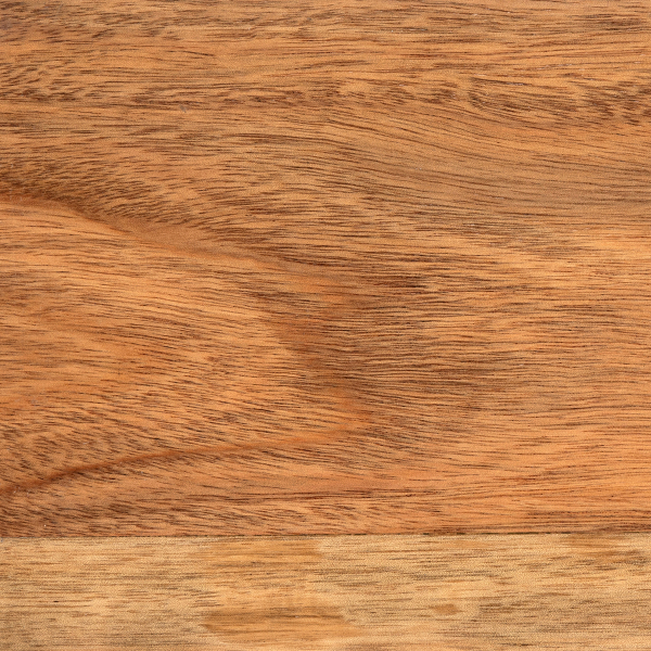 Ραφιέρα Οργάνωσης Κουζίνας Με Βάση Για Χαρτί (41x14.5x33) F-V Shelf 190138