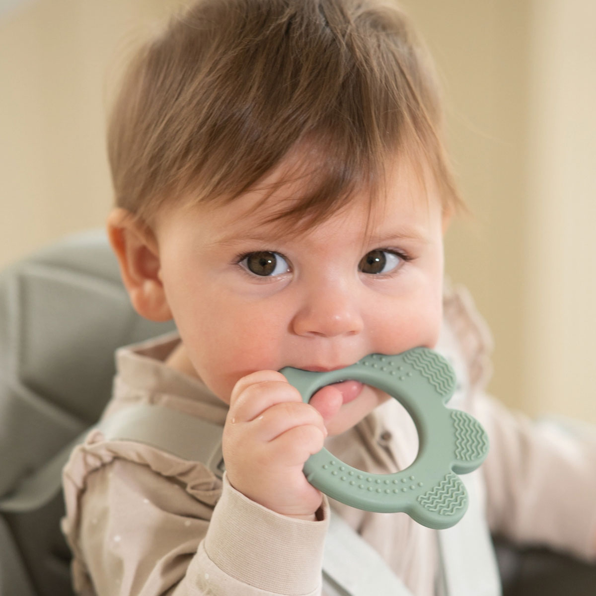 Kikka Boo Μασητικό (9.3x8.6) Kikka Boo Sage