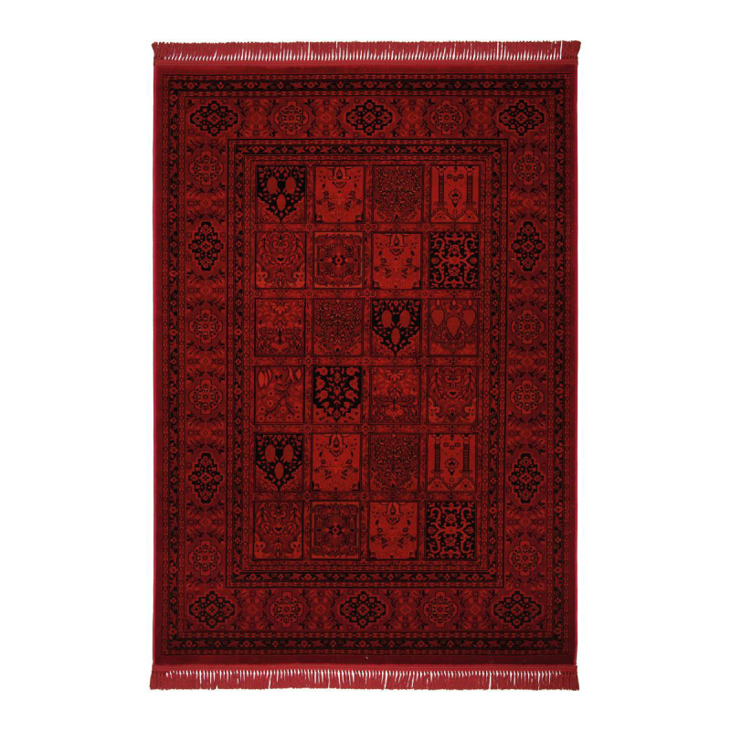 Χαλί (200x290) Βιοκαρπέτ Mauri 01736A Burgundy