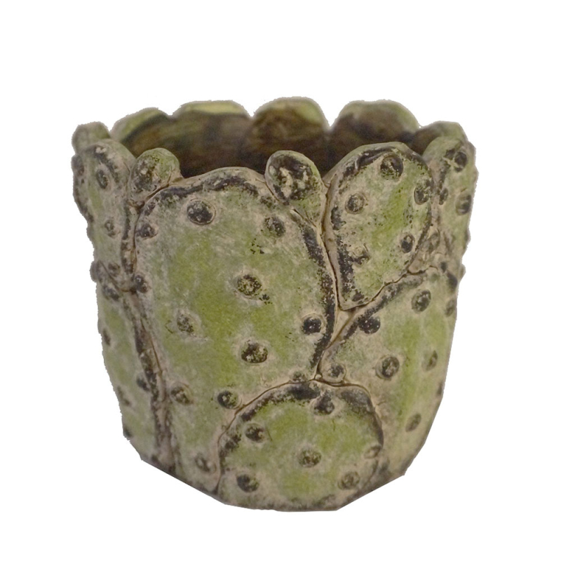 Κασπώ (Φ17.5x15) Espiel JOE219