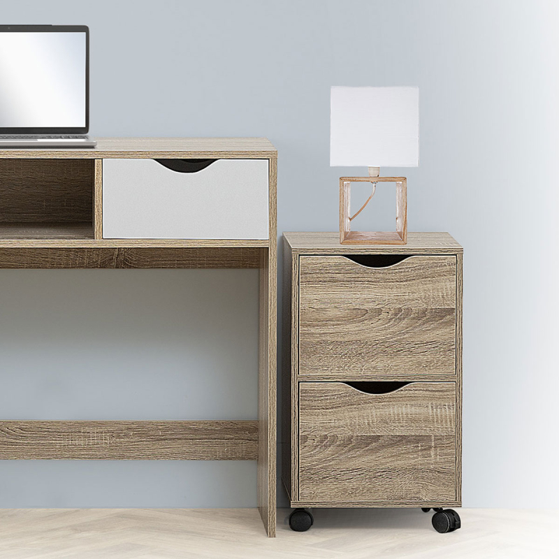 Συρταριέρα 2 Θέσεων Με Ροδάκια (33x29.5x56) F-V Tour 181283