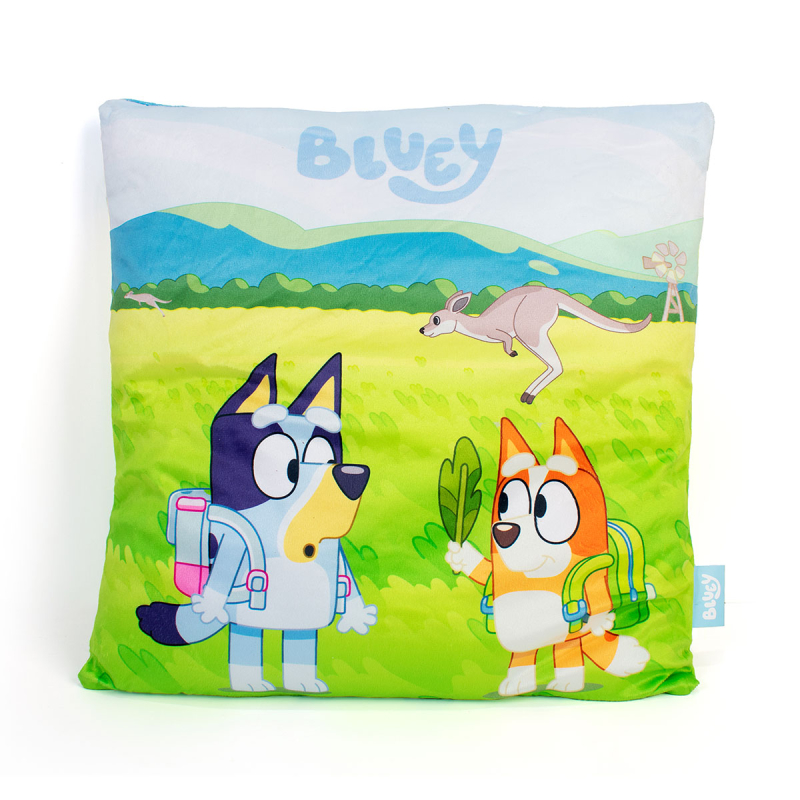 Διακοσμητικό Μαξιλάρι Βελουτέ 2 Όψεων (38x38) Dimcol Bluey 09