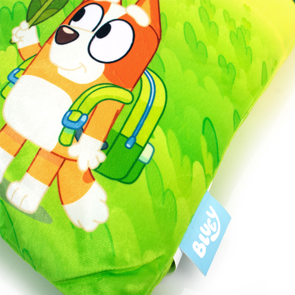 Διακοσμητικό Μαξιλάρι Βελουτέ 2 Όψεων (38x38) Dimcol Bluey 09