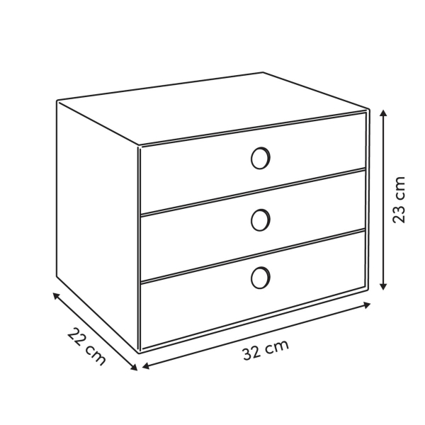 Θήκη Οργάνωσης Με Συρτάρια (32x22x23) F-V Florea 212752