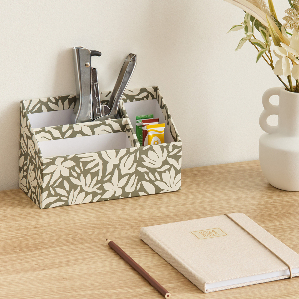 Θήκη Οργάνωσης 3 Θέσεων (19x8.2x11.7) F-V Florea 212758