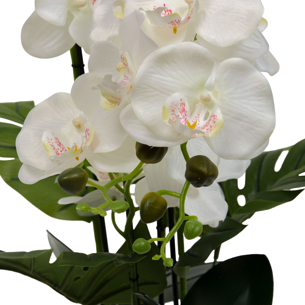 Τεχνητό Λουλούδι Σε Γλάστρα 81εκ. A-S Orchid Asia 214107