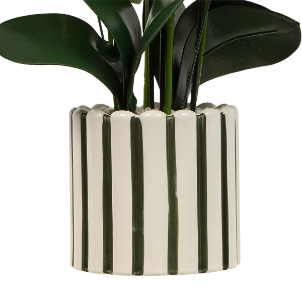 Τεχνητό Λουλούδι Σε Γλάστρα 81εκ. A-S Orchid Asia 214107