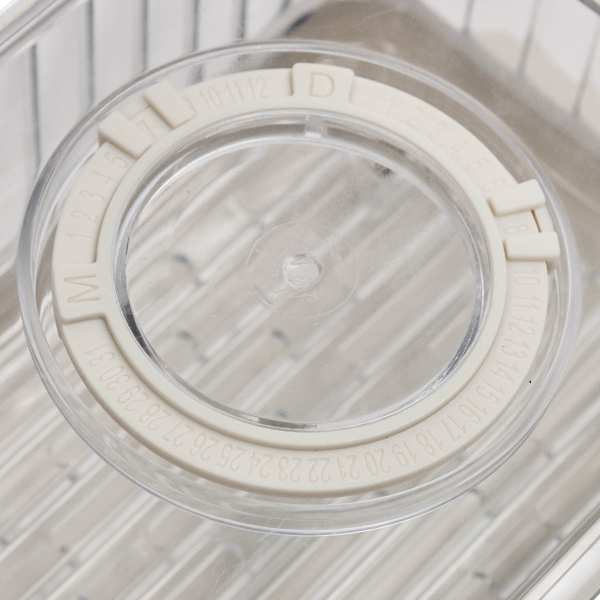 Ράφι Ψυγείου Με Καπάκι (18.5x12.5x9) F-V Streaks 190241