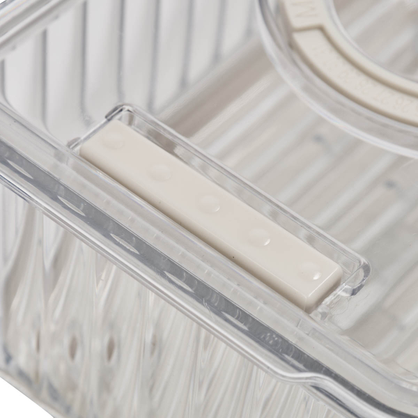 Ράφι Ψυγείου Με Καπάκι (18.5x12.5x9) F-V Streaks 190241