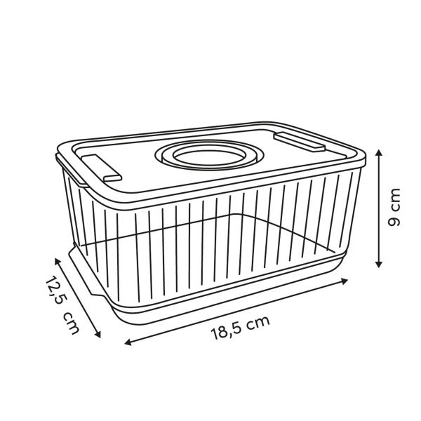 Ράφι Ψυγείου Με Καπάκι (18.5x12.5x9) F-V Streaks 190241