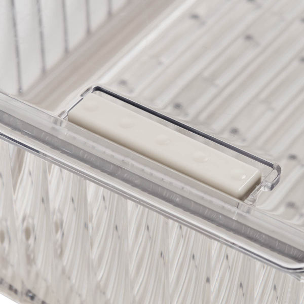 Ράφι Ψυγείου Με Καπάκι (26.5x18.2x9) F-V Streaks 190242