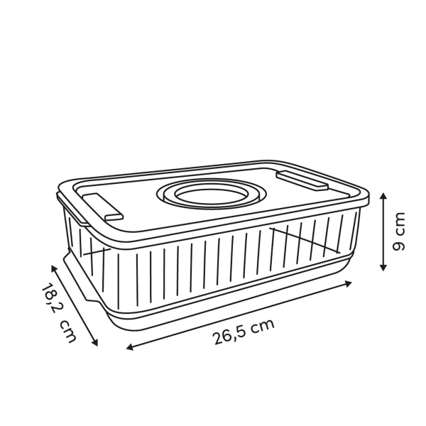 Ράφι Ψυγείου Με Καπάκι (26.5x18.2x9) F-V Streaks 190242