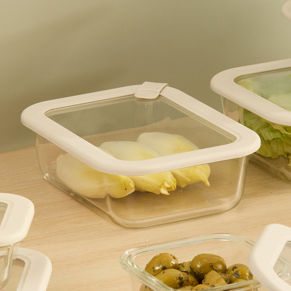 Φαγητοδοχείο 600ml F-V Sileat 213435